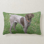 undefined lumbar pillow
