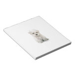 undefined notepad