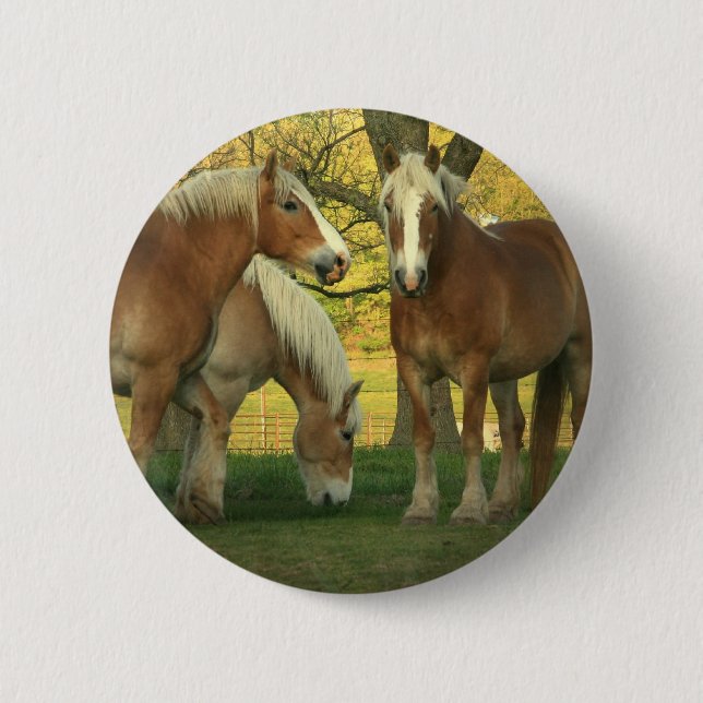 undefined pinback button (Front)