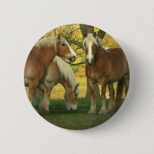 undefined pinback button