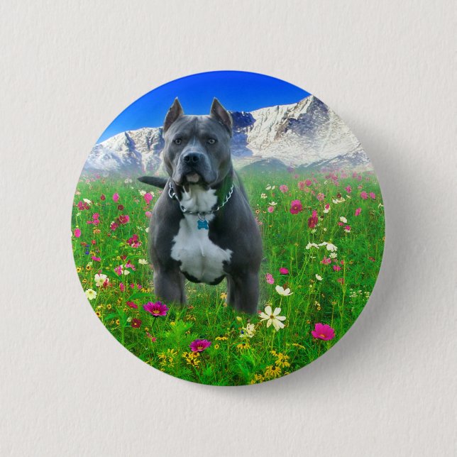 undefined pinback button (Front)