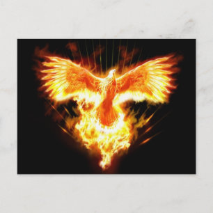 undefined postcard