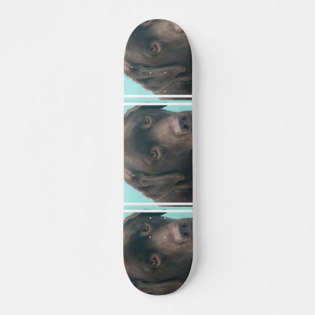 undefined skateboard deck (Front)