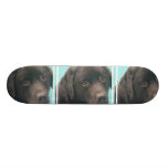 undefined skateboard deck