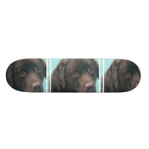 undefined skateboard deck