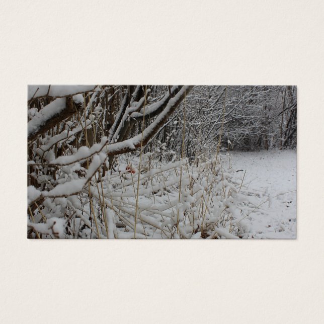 Under a Blanket of Snow (Front)