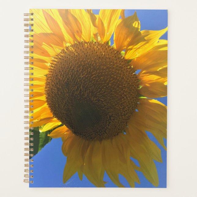 Under a Sunflower Planner (Front)