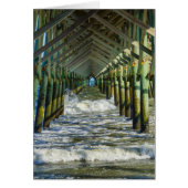 Under Folly Beach Pier (Front)