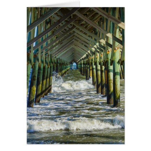 Under Folly Beach Pier Cards (Front)