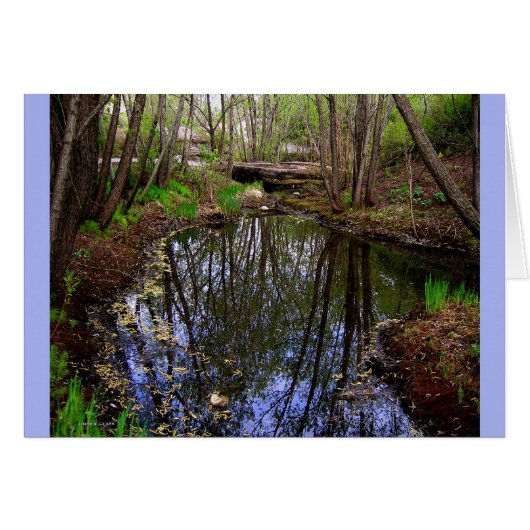 Under Glass Card (Front Horizontal)