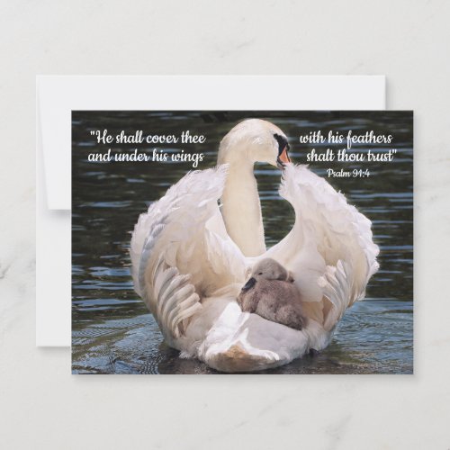 Under His Wings swan carrying cygnet  Card