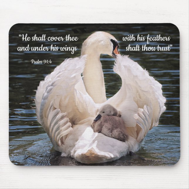 Under His Wings swan carrying cygnet Poster Mouse Pad (Front)