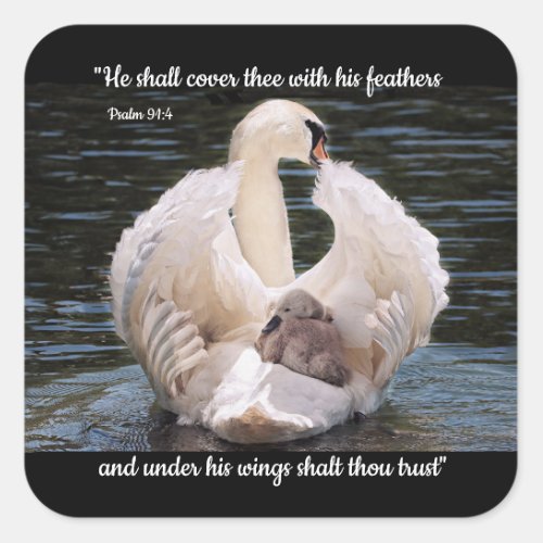 Under His Wings swan carrying cygnet  Square Stick Square Sticker