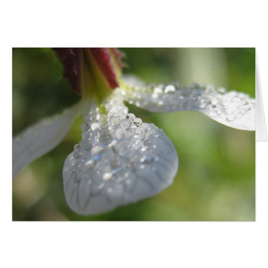 Under My Umbrella Card (Front Horizontal)