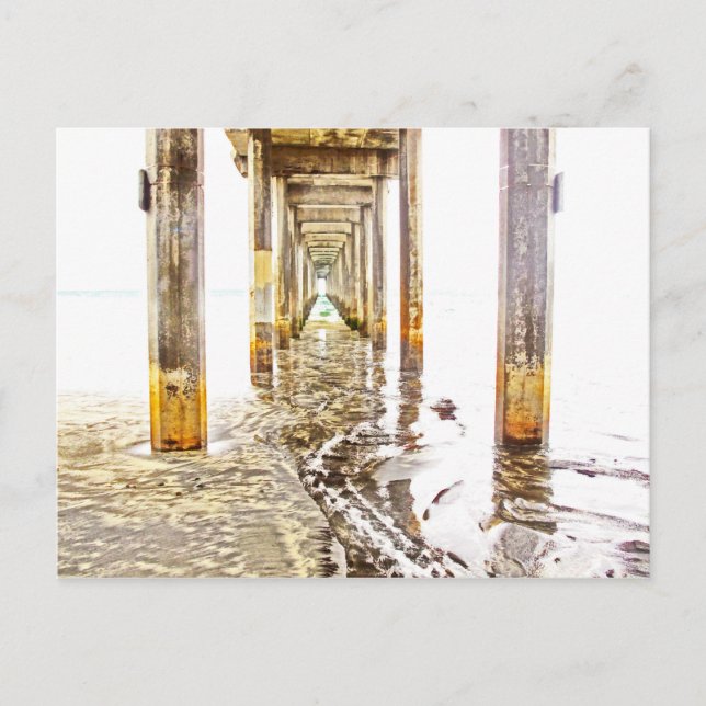 Under Scripps Pier Postcard (Front)