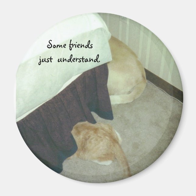 Under the Bed Magnet (Front)