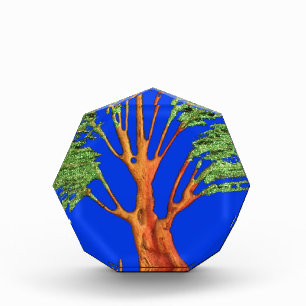 Under the Blue Sky: The Acacia Tree Collection Award