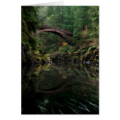 Under the Bridge (Front)