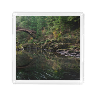 Under the Bridge Acrylic Tray