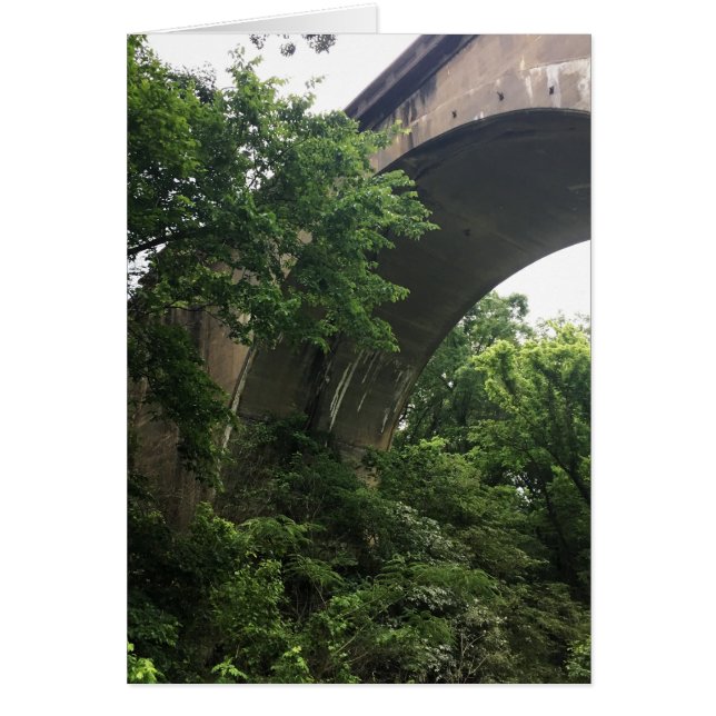 under the bridge cards (Front)