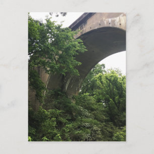 under the bridge postcard