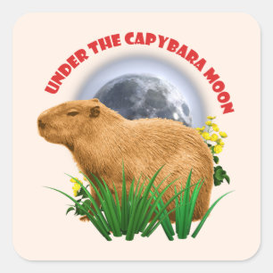 Under the Capybara Moon Funny Capybara  Square Sticker