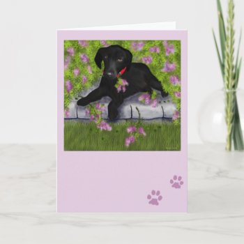 Under The Lilacs Card by SannelDesign at Zazzle