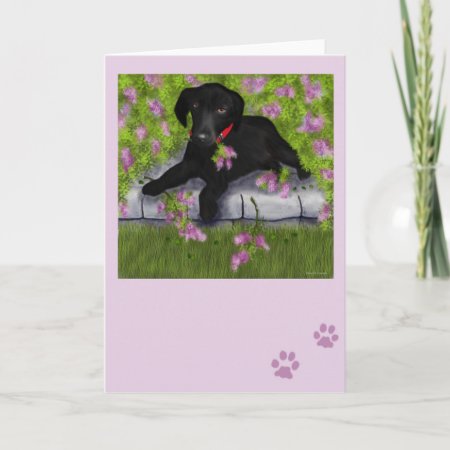 Under The Lilacs Card