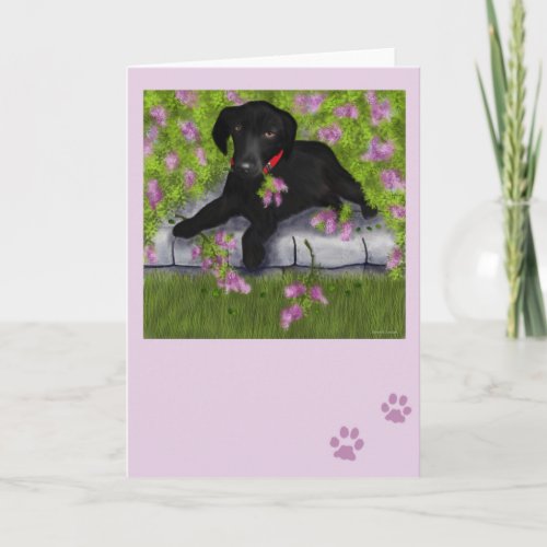 Under the Lilacs Card