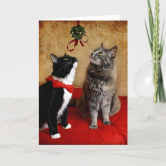 Under the Mistletoe Holiday Card