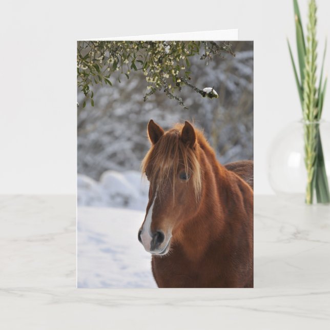 Under the mistletoe, horse Christmas Holiday Card (Front)