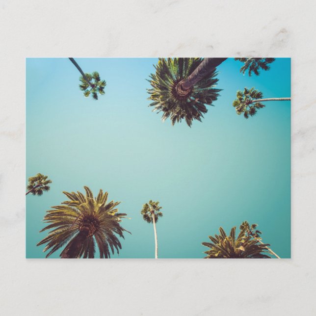 Under the palms, photo travel postcard (Front)