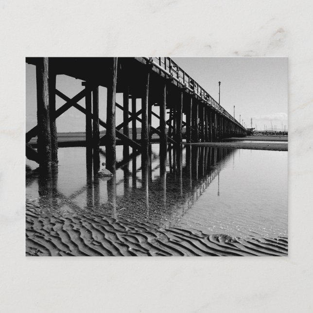 Under the Pier Postcard (Front)