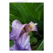 under the rain (Front)