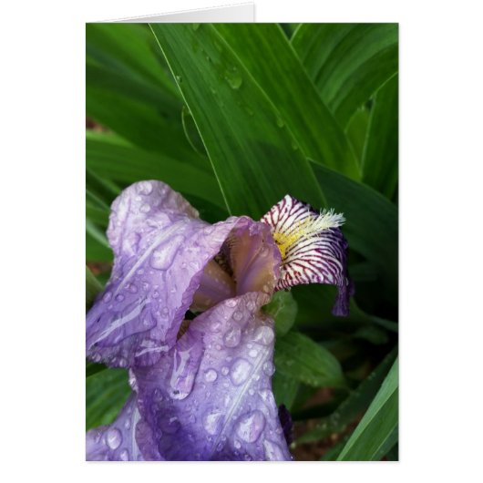 under the rain (Front)