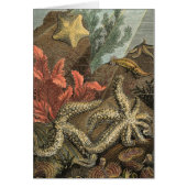 Under the Sea (Front)