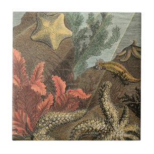 Under the Sea Ceramic Tile