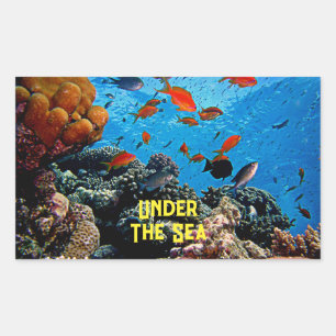 Under The Sea Coral Fish Marine Life Blue Water Rectangular Sticker