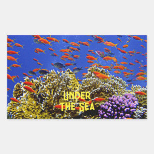 Under The Sea Coral Reef School Of Fish Blue Water Rectangular Sticker