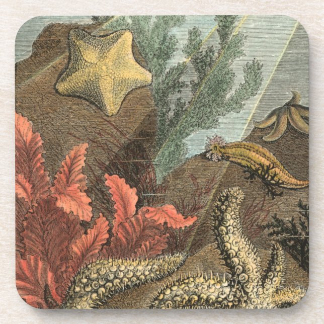 Under the Sea Drink Coaster (Front)