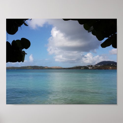 Under the Sea Grape with Turquoise Ocean View Poster