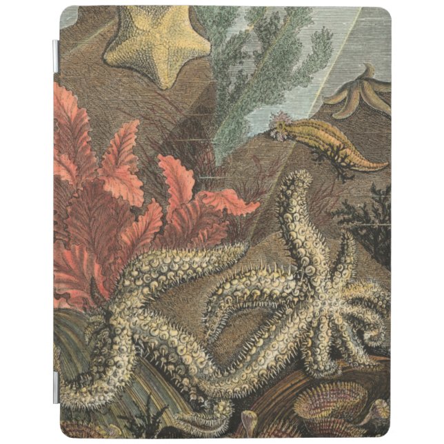 Under the Sea iPad Smart Cover (Front)