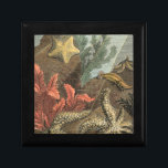 Under the Sea Keepsake Box<br><div class="desc">Go underwater to explore the sea with all these different sea creatures. This vintage piece of art is a perfect addition to any sea anemone lovers. It captures sealife with starfishes,  kelp,  seaweed,  and other sea creatures. Get your art print today on your product.</div>