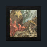 Under the Sea Keepsake Box<br><div class="desc">Go underwater to explore the sea with all these different sea creatures. This vintage piece of art is a perfect addition to any sea anemone lovers. It captures sealife with starfishes,  kelp,  seaweed,  and other sea creatures. Get your art print today on your product.</div>