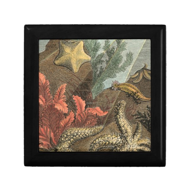 Under the Sea Keepsake Box (Front)