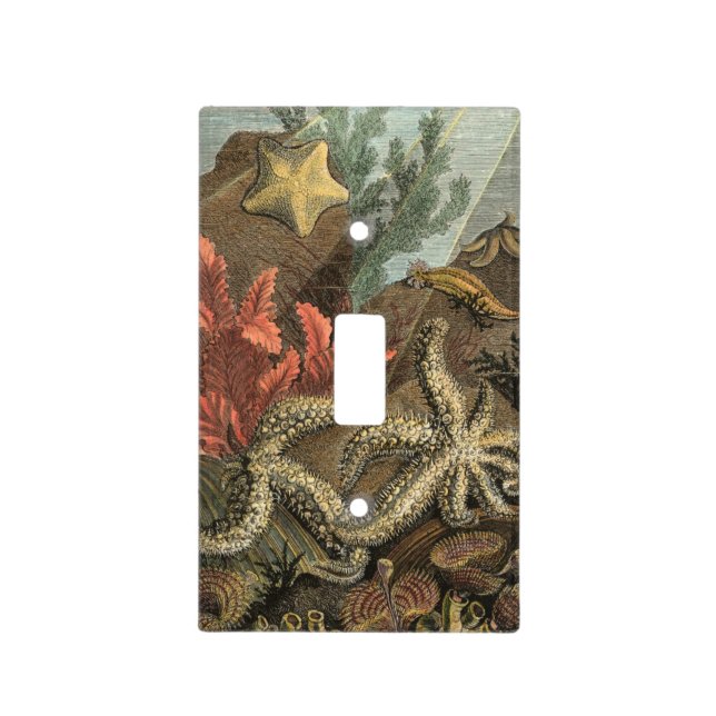 Under the Sea Light Switch Cover (Front)