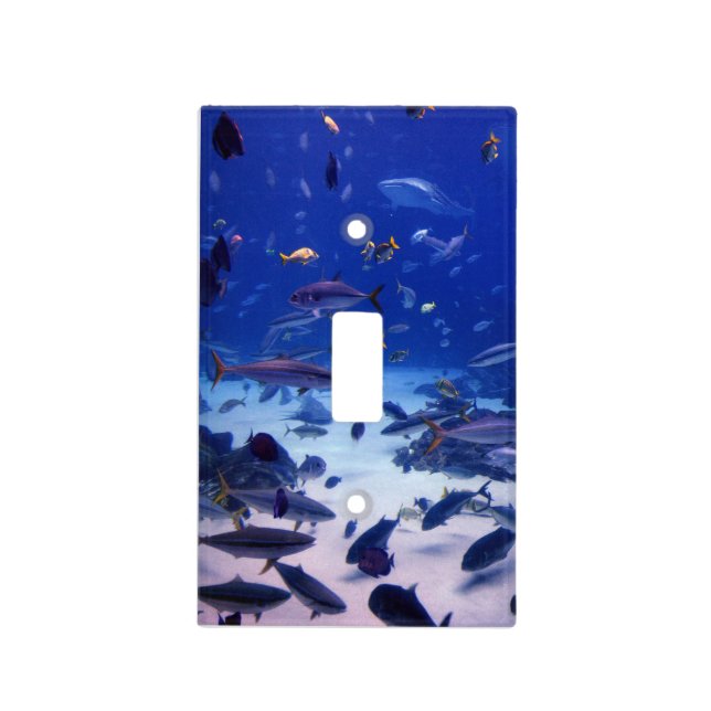 Under the Sea Light Switch Cover (Front)