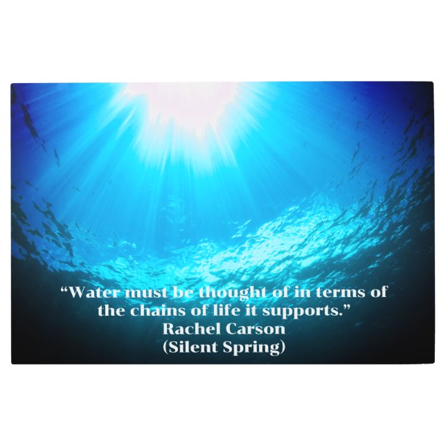 Under the Sea Metal Print (Front)