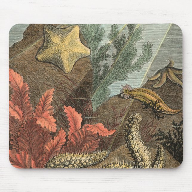 Under the Sea Mouse Pad (Front)