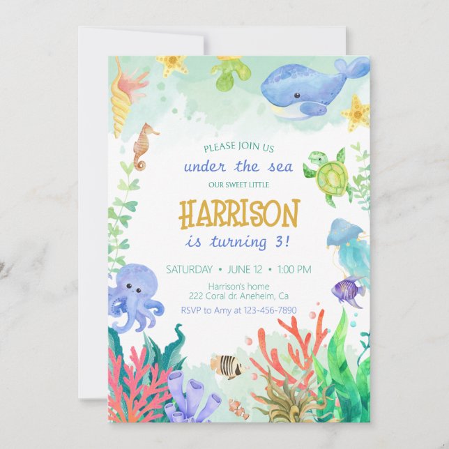Under the Sea Nautical Whale Turtle Birthday Invitation (Front)